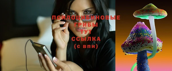 эйфоретик Абинск