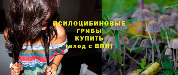 ГАЛЛЮЦИНОГЕННЫЕ ГРИБЫ Алзамай