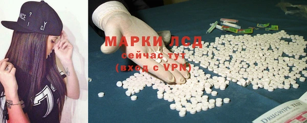 гашик Алексин