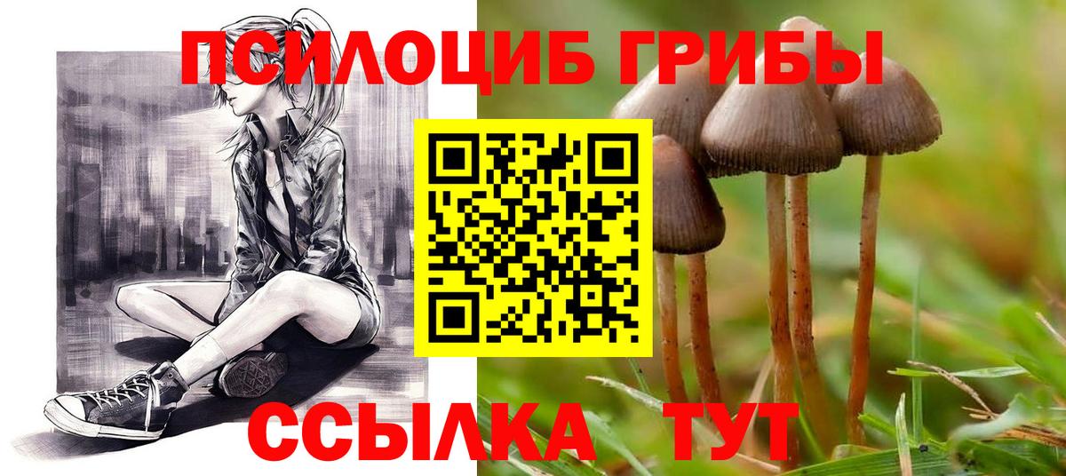 Галлюциногенные грибы мицелий Череповец