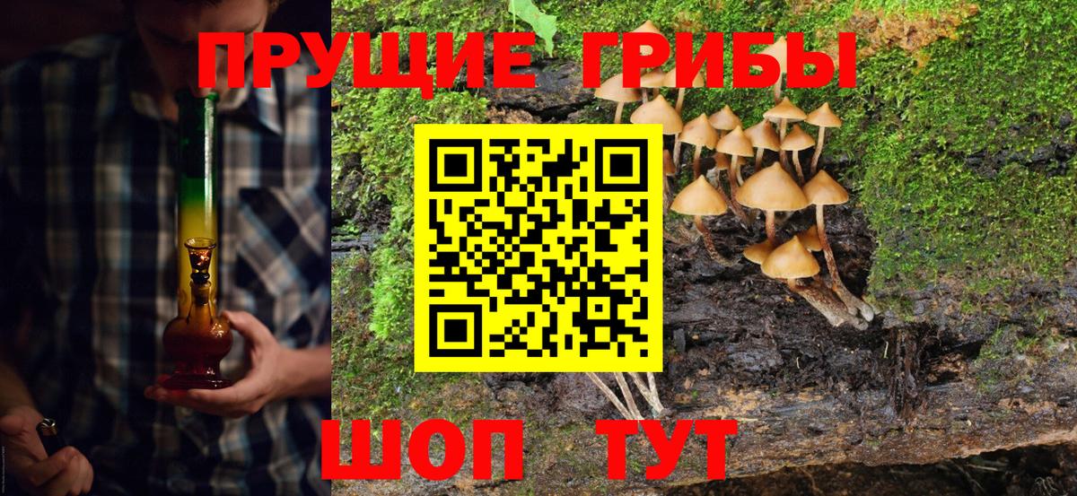 Череповец  Галлюциногенные грибы ЛСД  Вход с VPN  Галлюциногенные грибы прущие грибы 