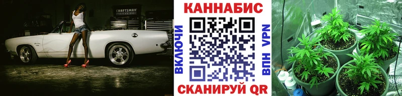 Бошки Шишки AK-47 блэк спрут ССЫЛКА Череповец